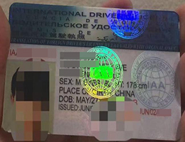 如何快速申请和办理国际驾照?